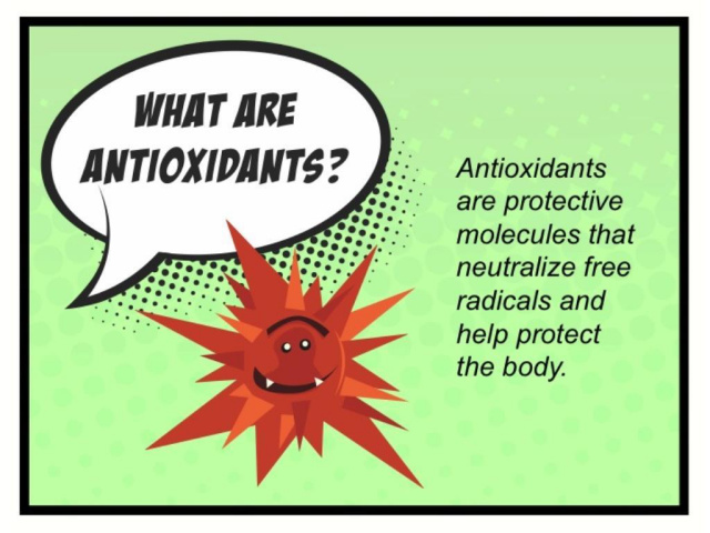 What are antioxidants graphic